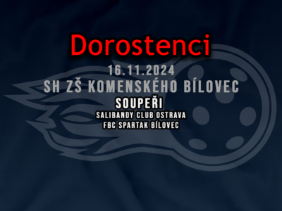 DOROST 16.11.2024